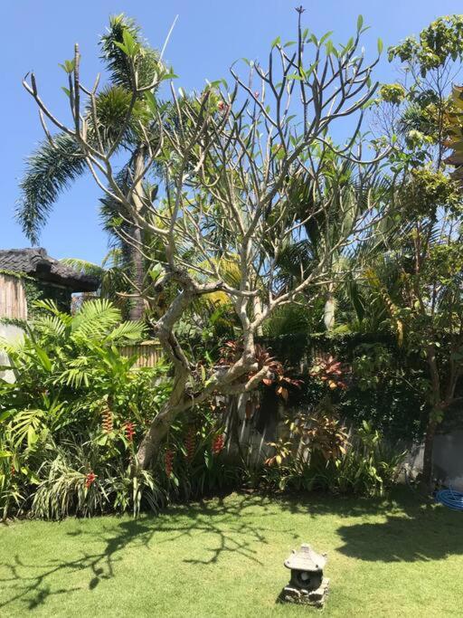 Desa Naga Villa Canggu Zewnętrze zdjęcie